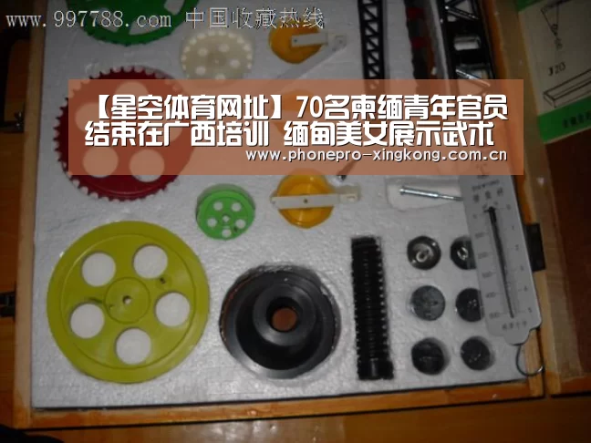 【星空体育网址】70名柬缅青年官员结束在广西培训 缅甸美女展示武术(图2) 星空体育官网