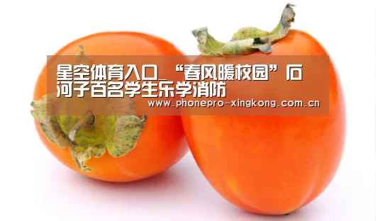 星空体育入口_“春风暖校园”石河子百名学生乐学消防(图3) 星空体育官网