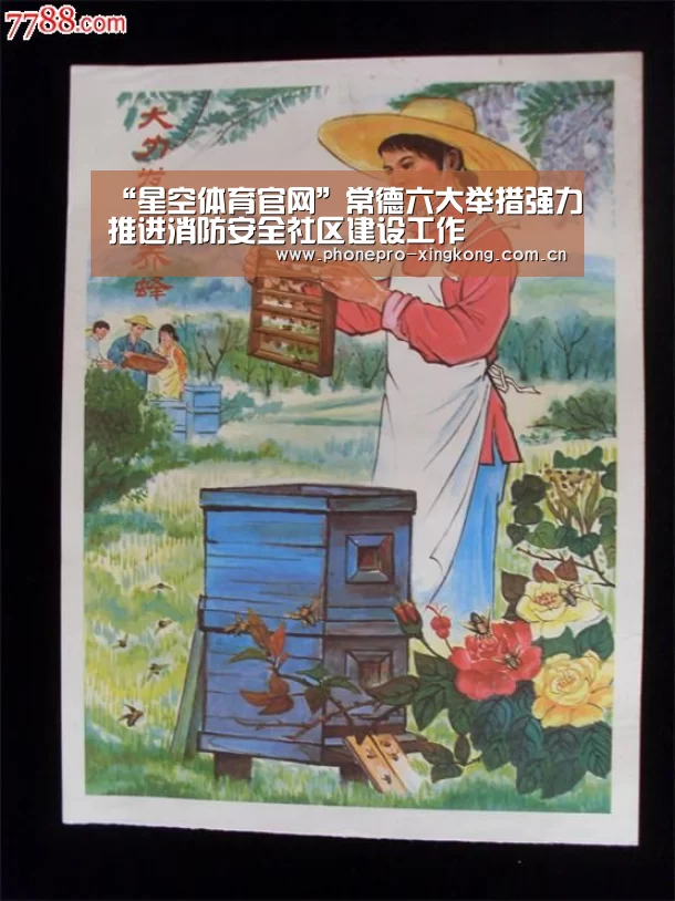 星空体育