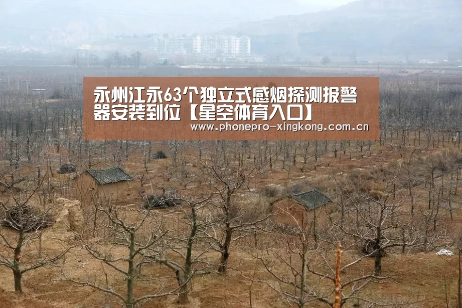 永州江永63个独立式感烟探测报警器安装到位【星空体育入口】(图2) 星空体育官网