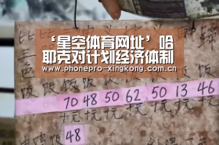 ‘星空体育网址’哈耶克对计划经济体制的批判研究(图2) 星空体育入口
