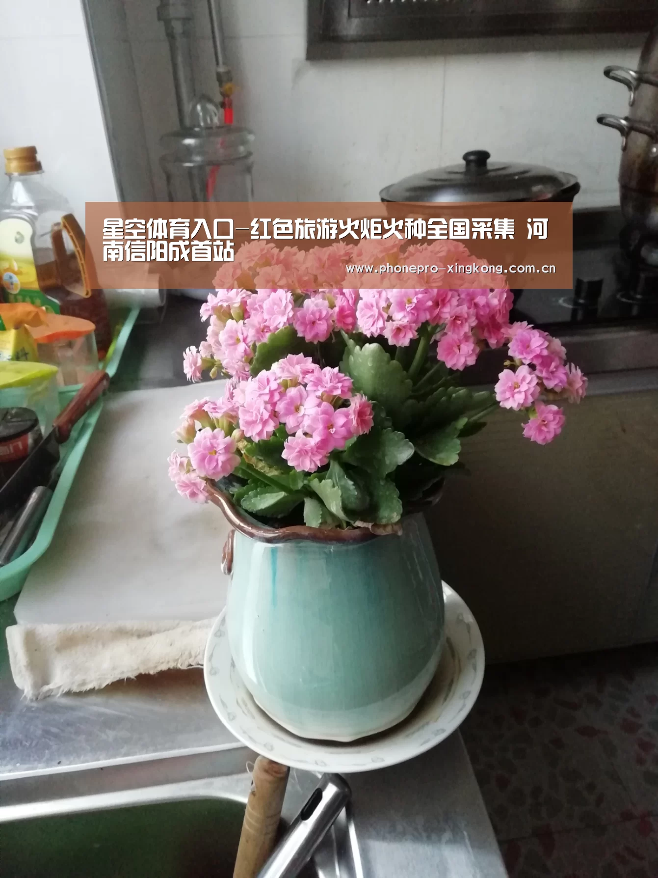 星空体育入口-红色旅游火炬火种全国采集 河南信阳成首站(图1) 星空体育