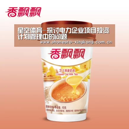 星空体育-探讨电力企业项目投资计划管理中的问题(图1) 星空体育入口