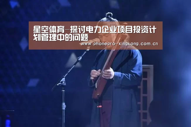 星空体育-探讨电力企业项目投资计划管理中的问题(图3) 星空体育网址