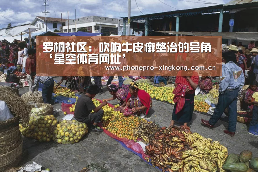 罗桐社区:吹响牛皮癣整治的号角‘星空体育网址’(图1) 星空体育