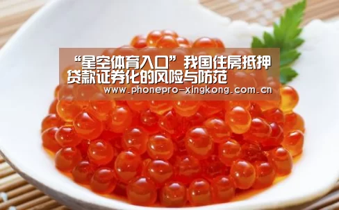 “星空体育入口”我国住房抵押贷款证券化的风险与防范(图2) 星空体育官网