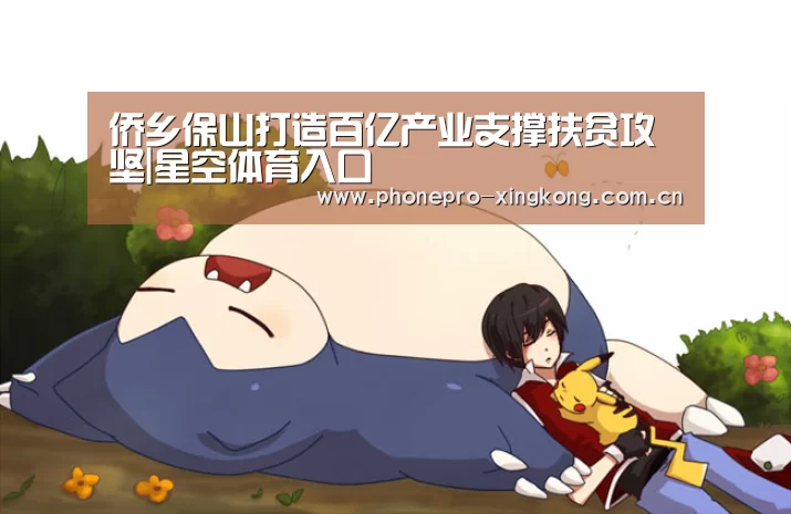 星空体育官网