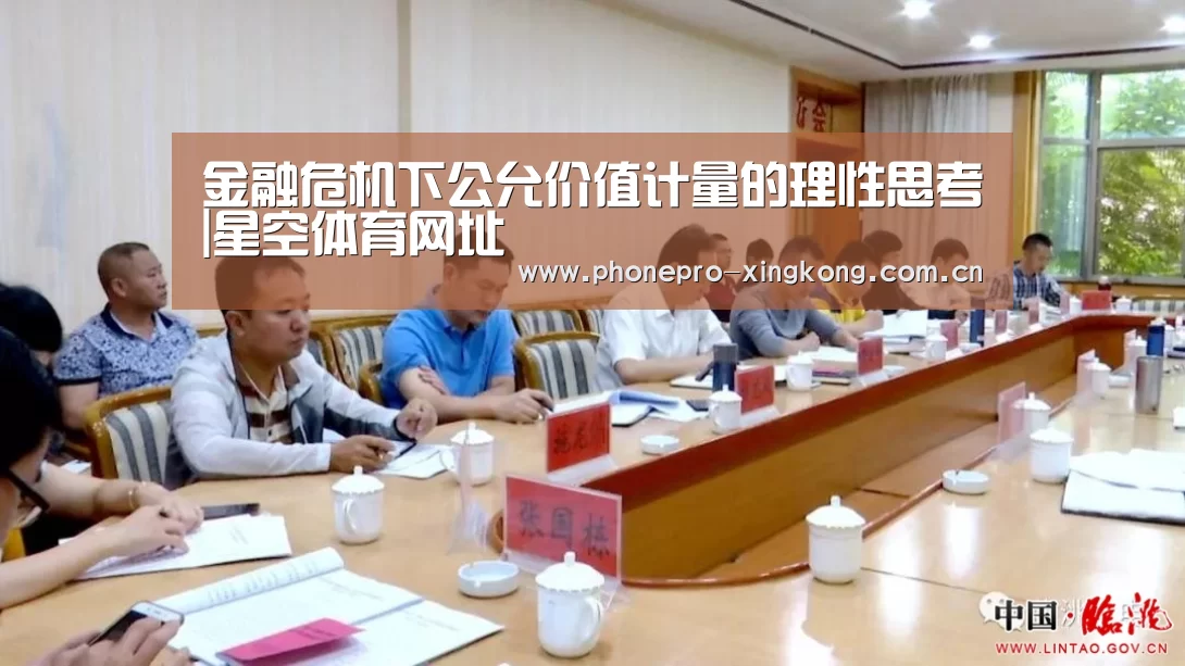 金融危机下公允价值计量的理性思考|星空体育网址(图1) 星空体育网址
