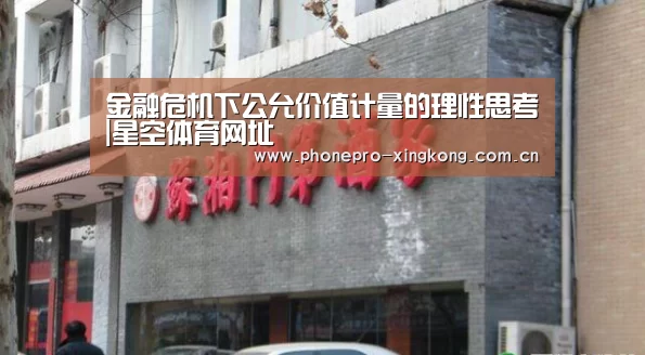 金融危机下公允价值计量的理性思考|星空体育网址(图3) 星空体育入口