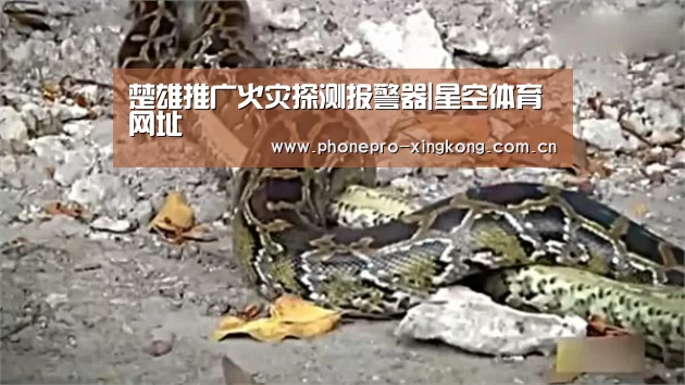 楚雄推广火灾探测报警器|星空体育网址(图2) 星空体育入口