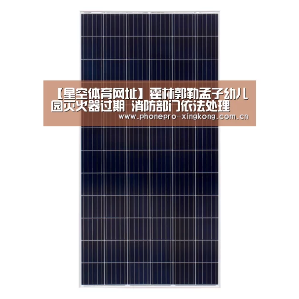 【星空体育网址】霍林郭勒孟子幼儿园灭火器过期 消防部门依法处理(图2) 星空体育入口