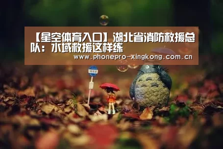【星空体育入口】湖北省消防救援总队:水域救援这样练(图1) 星空体育入口