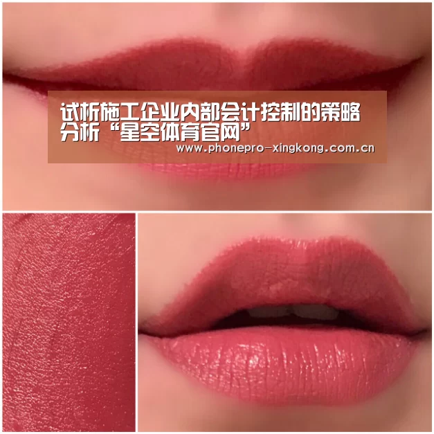试析施工企业内部会计控制的策略分析“星空体育官网”(图4) 星空体育网址