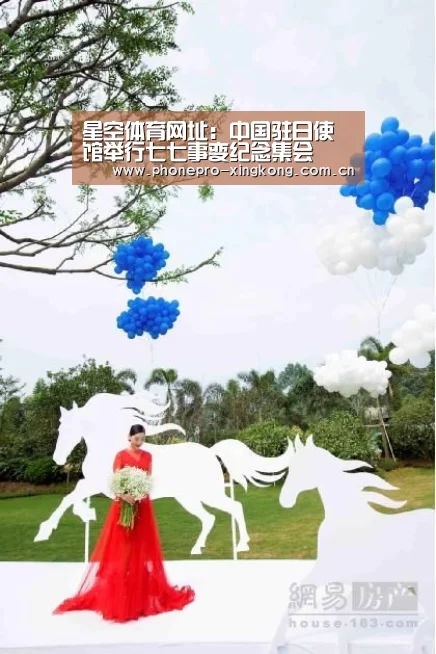 星空体育入口