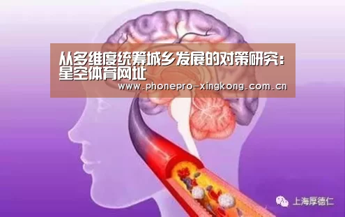 从多维度统筹城乡发展的对策研究:星空体育网址(图3) 星空体育网址