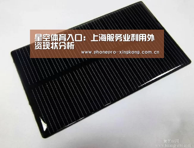星空体育入口：上海服务业利用外资现状分析